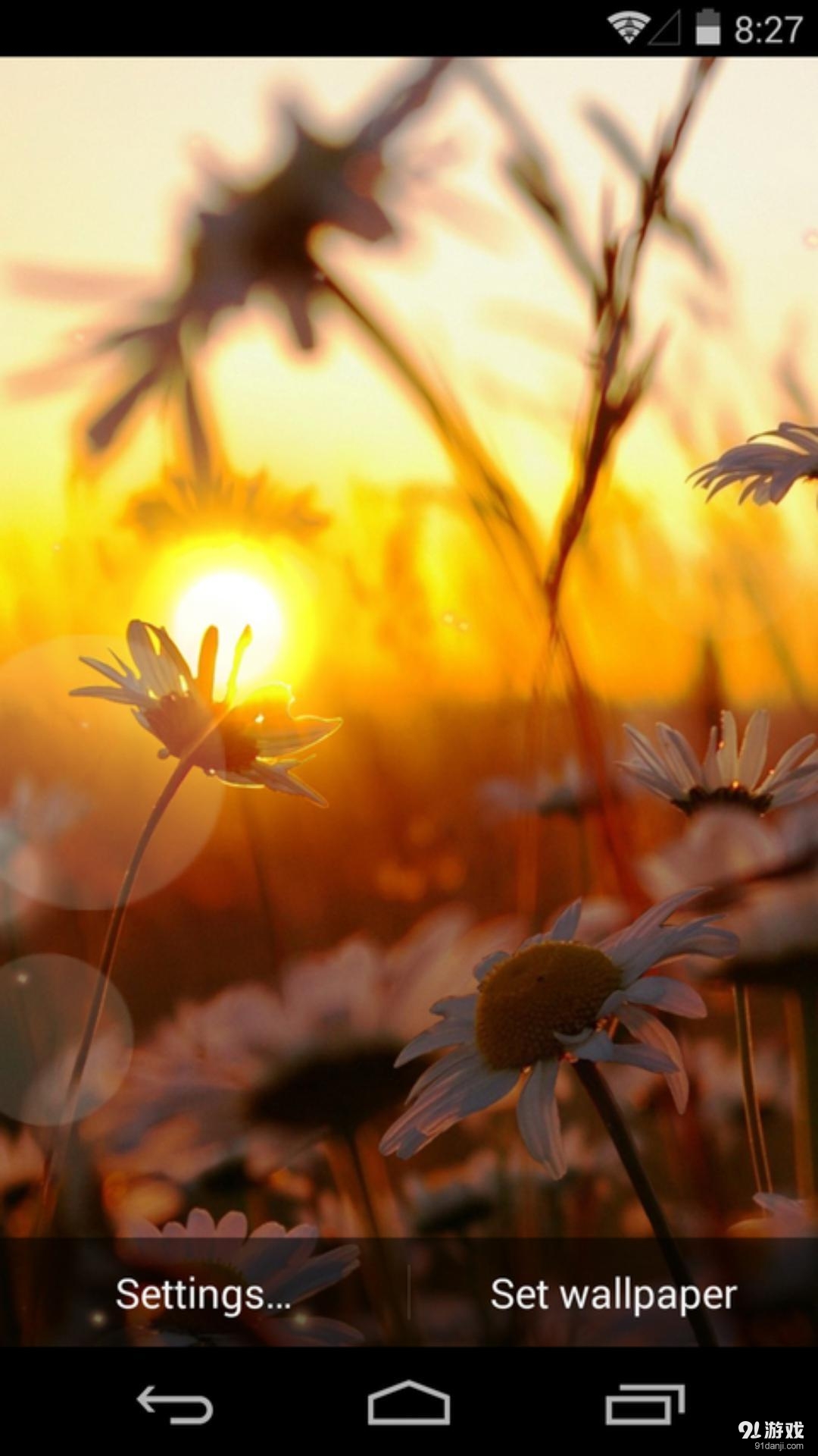 夕阳花语：梦象动态壁纸v1.5.8截图5