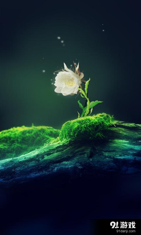 昙花一现v1.6.11截图4