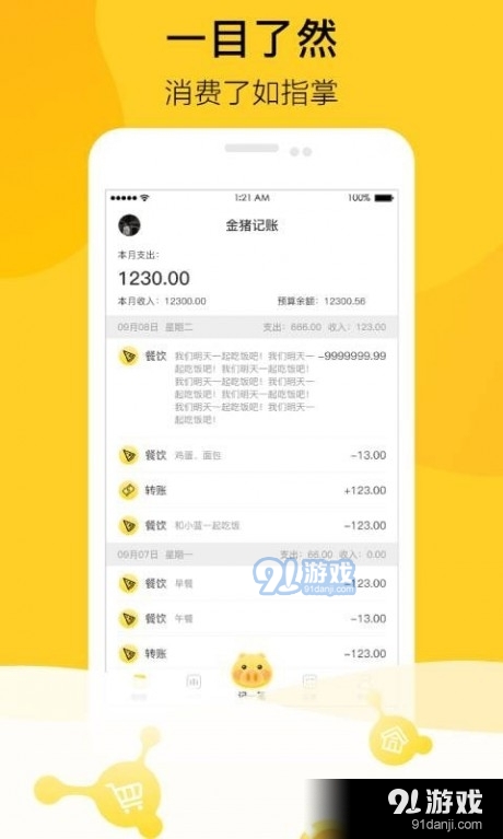金猪记账v1.3.3截图1