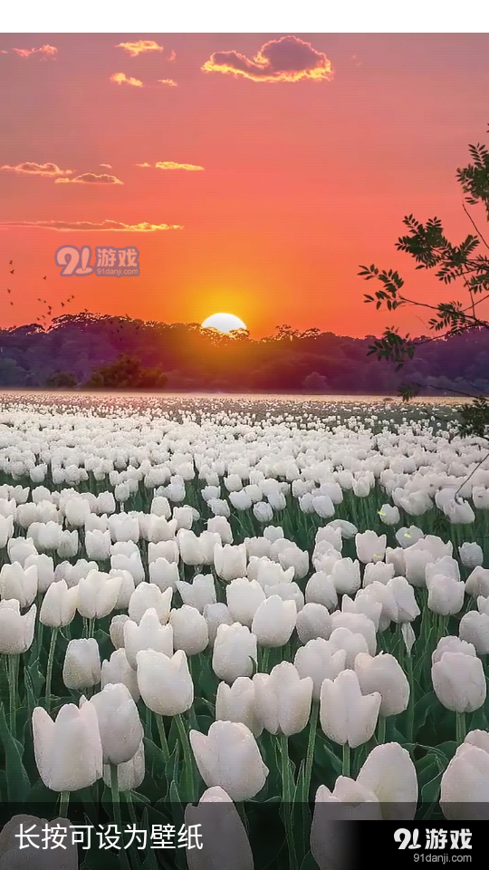 动态壁纸秀秀v1.4截图2