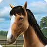 我的马 My Horsev1.28.5