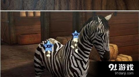 我的马 My Horsev1.28.5截图5