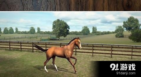 我的马 My Horsev1.28.5截图1