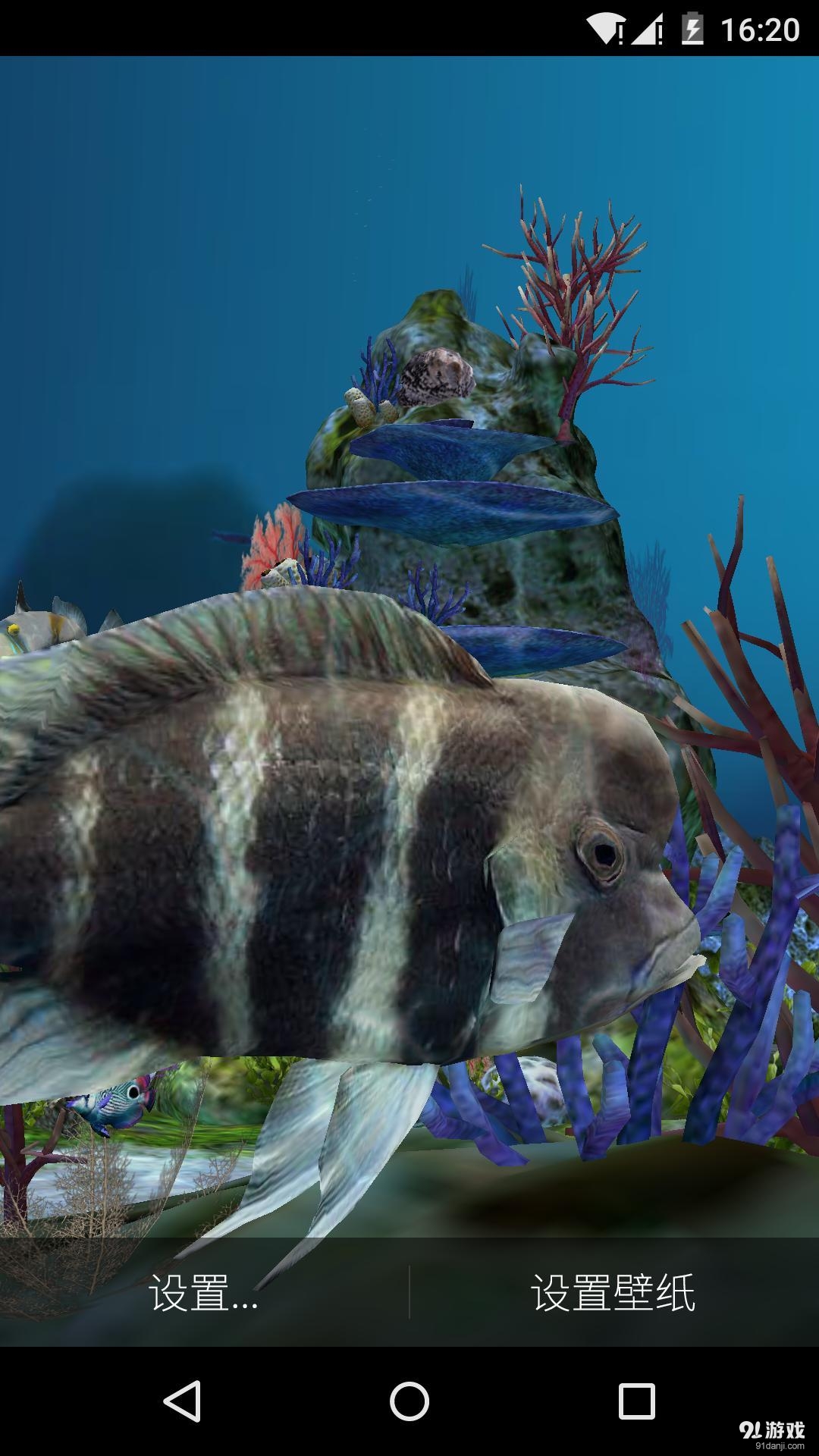 3D水族馆 梦象动态壁纸v1.7.6截图4