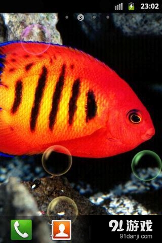 水族馆动态壁纸v1.3.5截图2