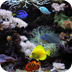 水族馆动态壁纸v1.3.5