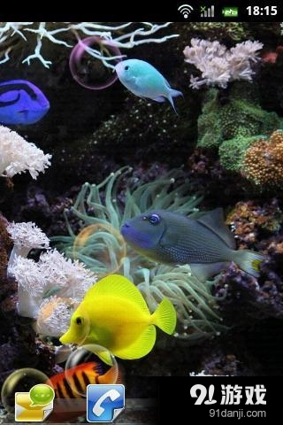 水族馆动态壁纸v1.3.5截图5