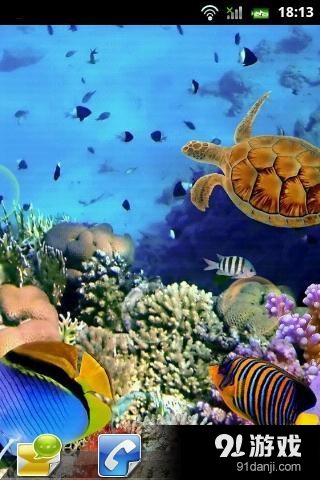 水族馆动态壁纸v1.3.5截图4