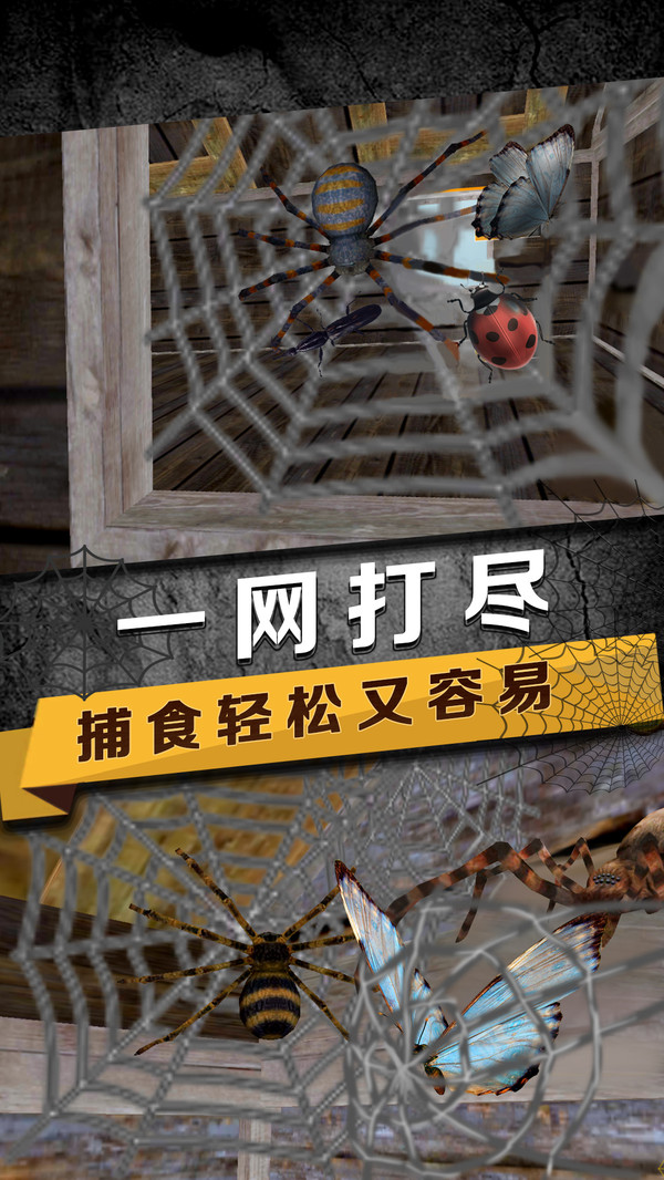 蜘蛛模拟生存v1.8截图4