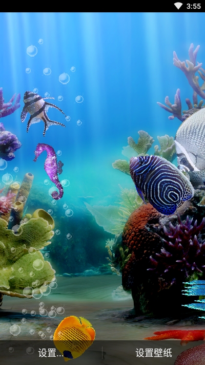 真正的水族馆Therealaquarium动态壁纸v2.8截图4