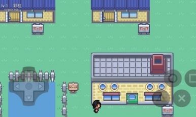 口袋妖怪污浊安卓版v0.17截图3