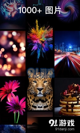 灵猫主题壁纸v1.3.5截图2