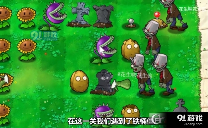 植物大战僵尸图鉴版中文v6.4截图1