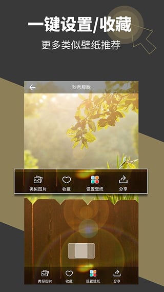 壁纸多多v6.4.5.3截图1