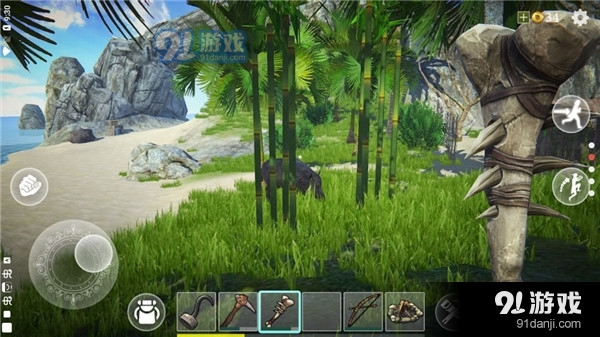 最后的海盗：岛屿生存v0.9996截图5