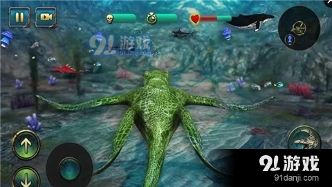 终极海洋食肉动物2016v1.9截图3