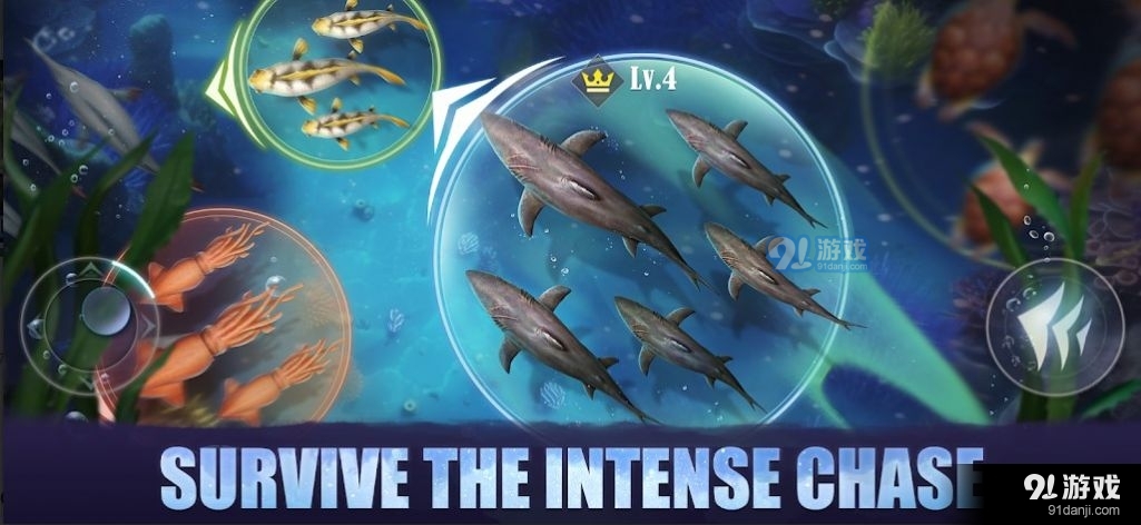 鳞光海域v1.2.370691截图1