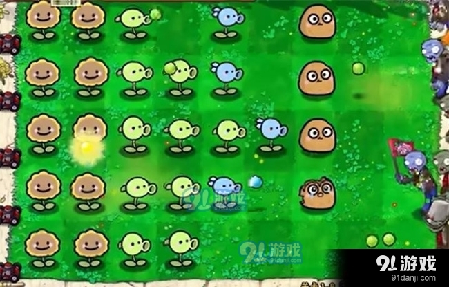 植物大战僵尸幼儿园版中文版v6.3截图1