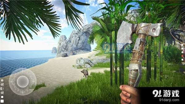 最后的海盗：岛屿生存v0.9996截图2