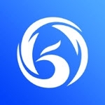 凤栖直连v1.1.8