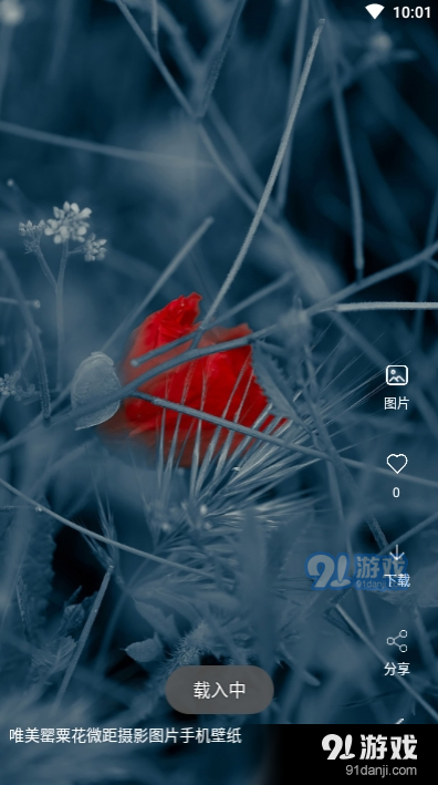 安果视频壁纸v3.1.5截图2