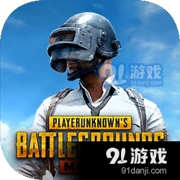 pubg国际服手游v2.9.5