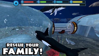 终极虎鲸模拟器v1.3.7截图1