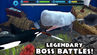 终极虎鲸模拟器v1.3.7截图2