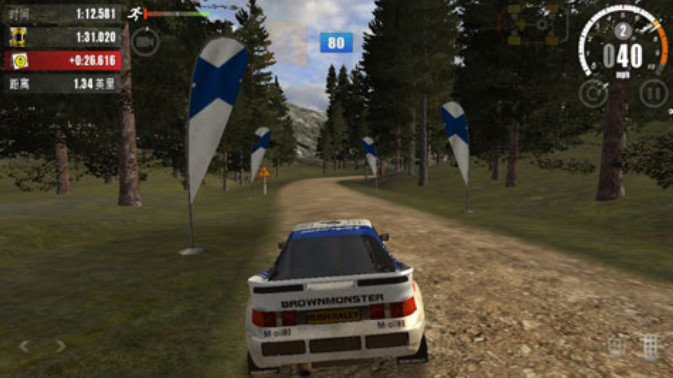 拉力竞速3v1.40截图4