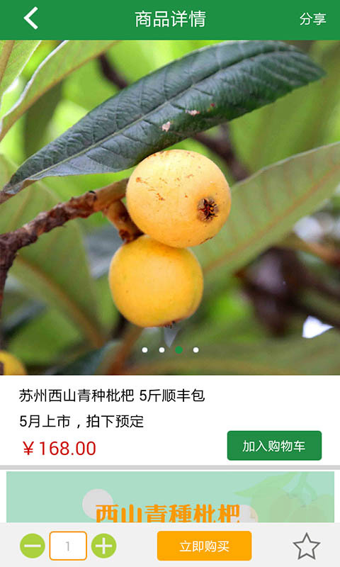 放心吃v4.13截图3