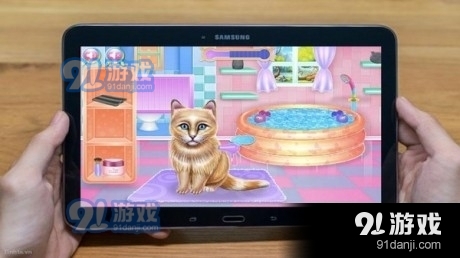 猫护理1.3.3截图3