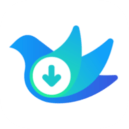 云雀视频助手VIP版16.102