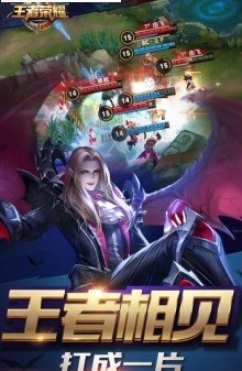 王者荣耀胜率修改器app2.8截图1