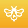 学习蜂1.0.33