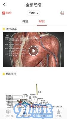 3D BODY(经络穴位3D)2.1.5截图2