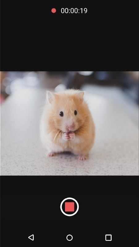 可变焦距相机8.1.6截图2