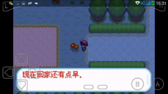 口袋妖怪赤红v3.0.4截图3