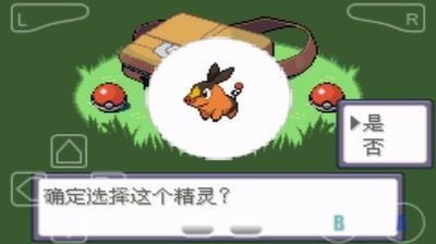 口袋妖怪究极绿宝石全神兽版v.01.07.16截图3