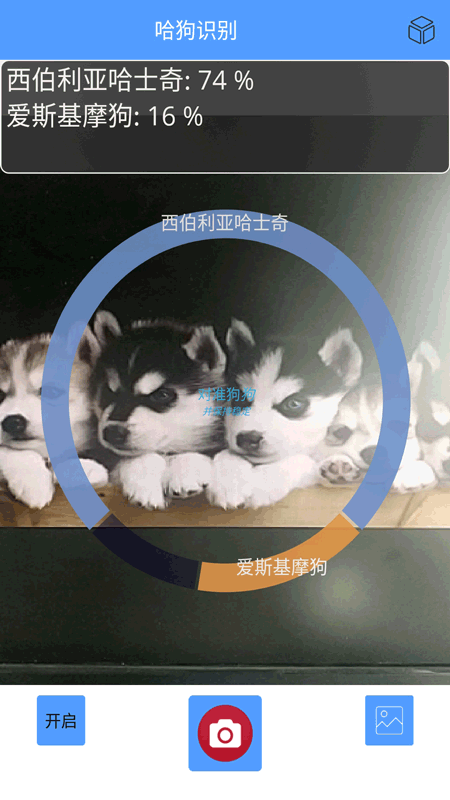 哈狗万能拍照识别v1.0.8截图3