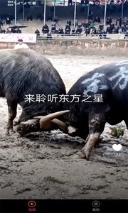 宠物趣看3.42.05截图2