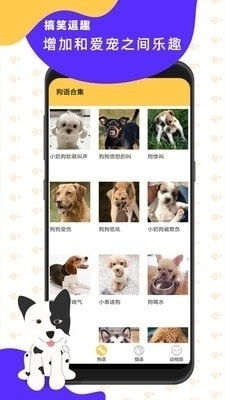 猫狗翻译神器1.11截图3
