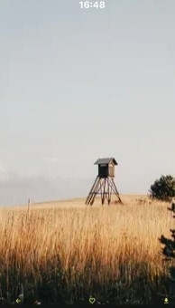 伊人壁纸1.6截图3