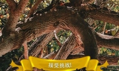 寻找猫：隐藏对象3游戏v1.7截图3