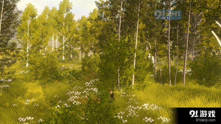 wilderless荒野v1.7.13截图4
