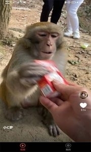 宠物趣看3.42.05截图4