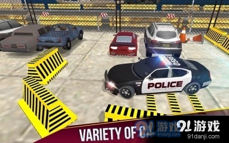 多车智能停车1.17截图4