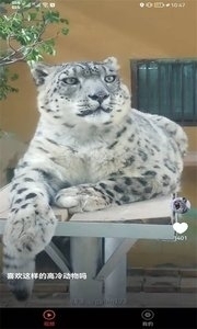 宠物趣看3.42.05截图3