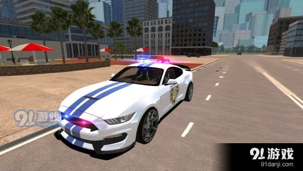 野马警车驾驶5截图2