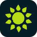 荒野v1.9.5