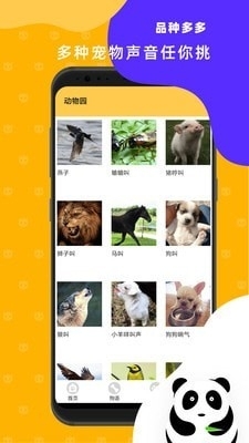 猫狗翻译神器1.11截图4